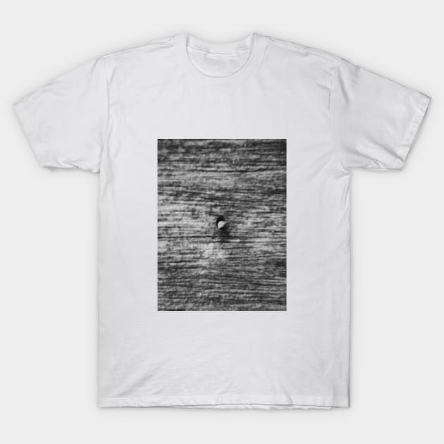 A Nail T-Shirt by pipmali